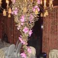 DSC07905.jpg